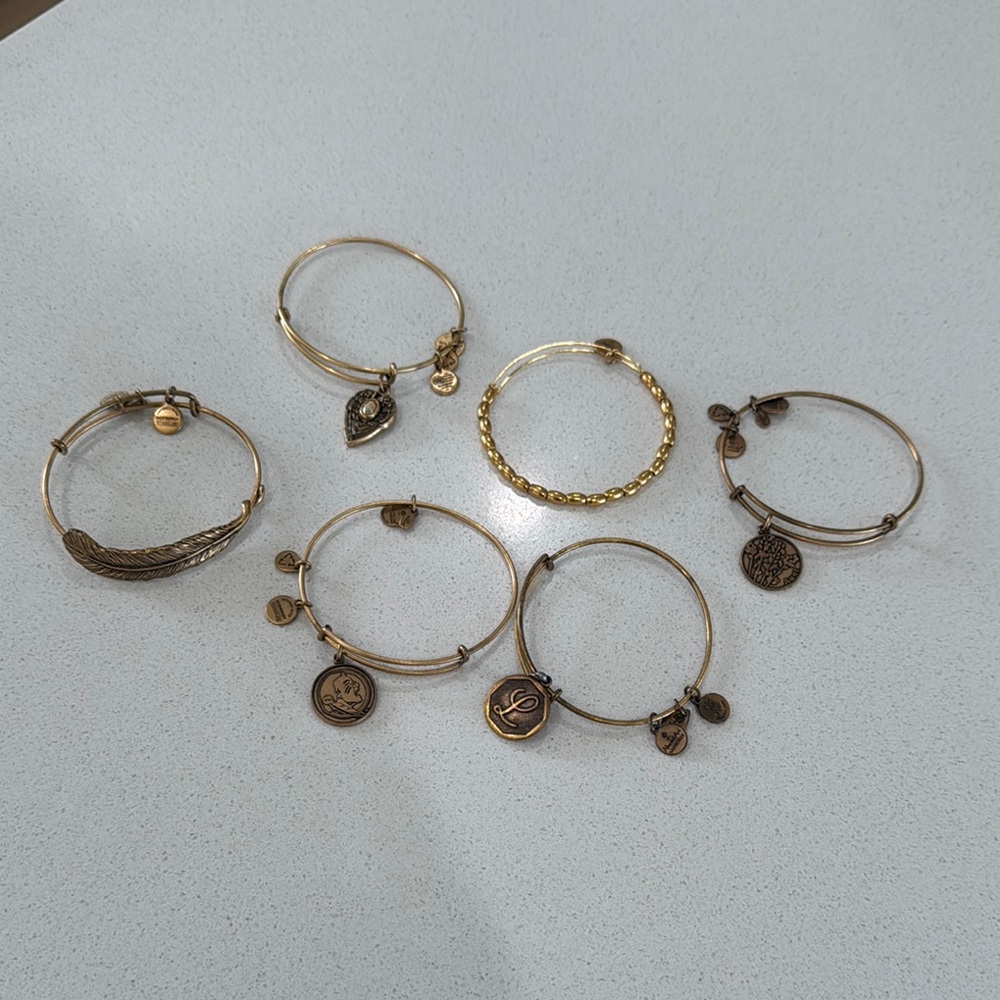 Alex and Ani Charm Bracelet Set